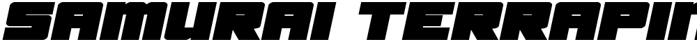Samurai Terrapin Expanded Italic