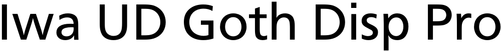 Iwa UD Goth Disp Pro