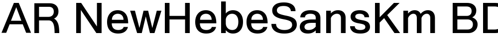 AR NewHebeSansKm BD