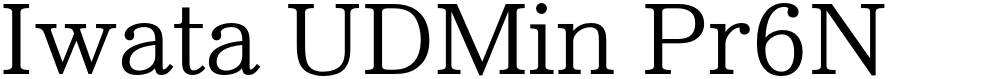 Iwata UDMin Pr6N