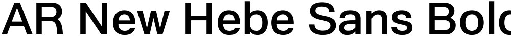 AR New Hebe Sans Bold