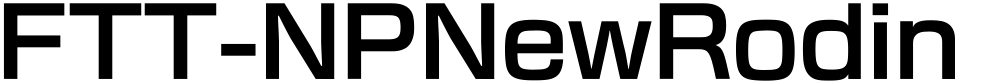 FTT-NPNewRodin