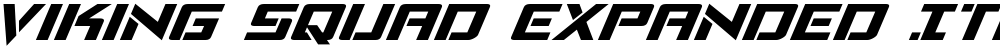 Viking Squad Expanded Italic
