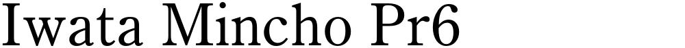 Iwata Mincho Pr6