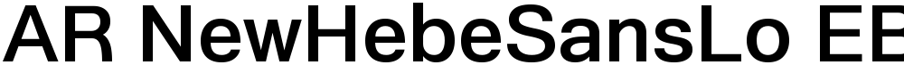 AR NewHebeSansLo EB