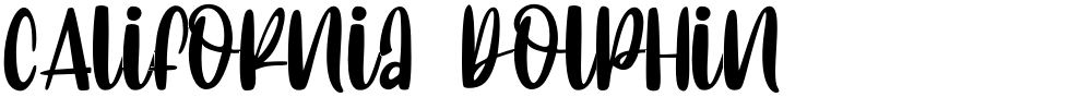 CAlifornia dolphin