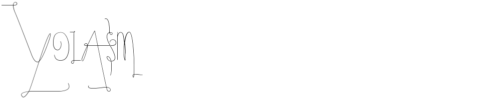 YolAsm