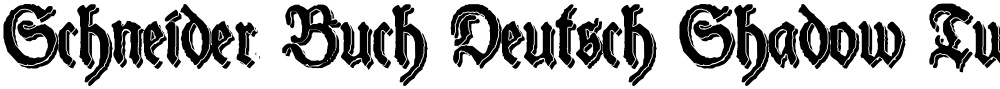 Schneider Buch Deutsch Shadow Two