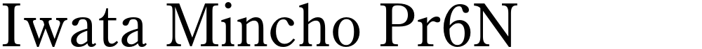 Iwata Mincho Pr6N