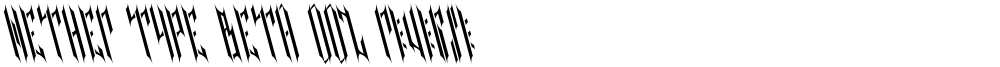 NETHER TYPE BETA 002 Reverse