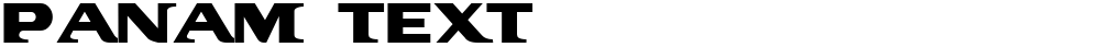 PanAm Text