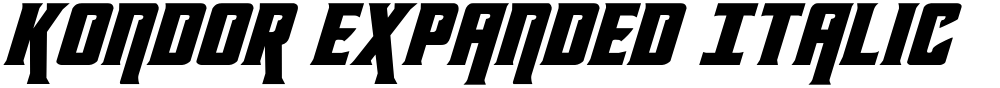 Kondor Expanded Italic