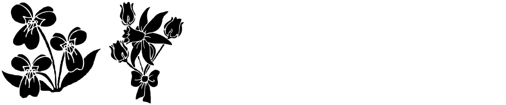 dt