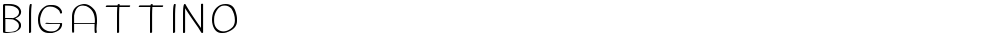 bigattino