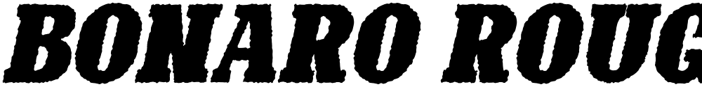 Bonaro Rough Italic Demo