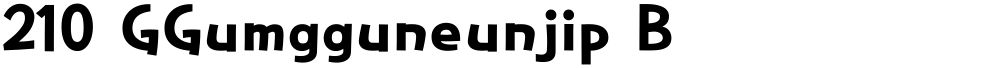 210 GGumgguneunjip B