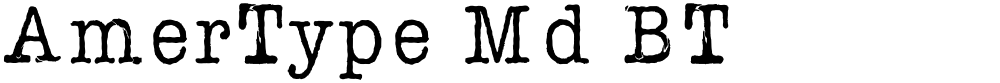 AmerType Md BT