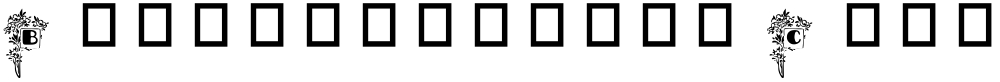 Blumenstrauss Caps