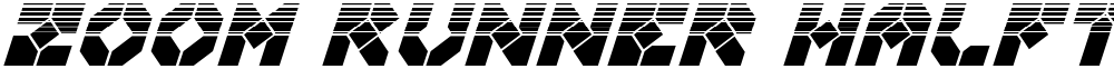 Zoom Runner Halftone Italic