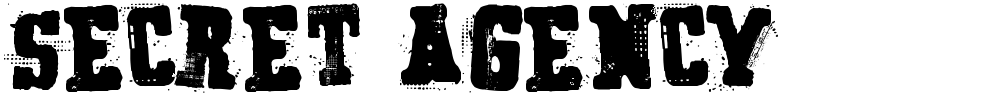 Secret Agency