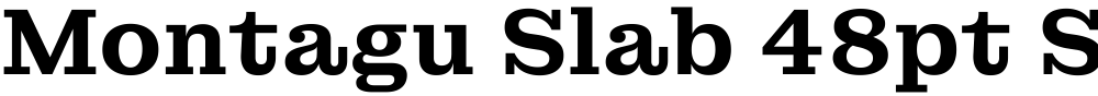 Montagu Slab 48pt SemiBold