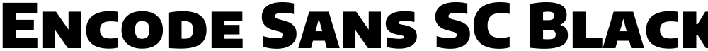 Encode Sans SC Black