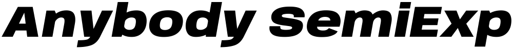 Anybody SemiExpanded Black