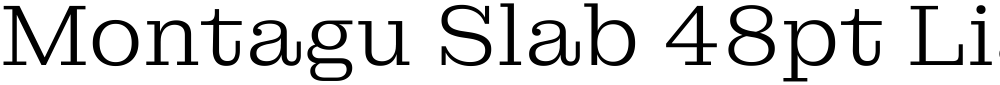 Montagu Slab 48pt Light