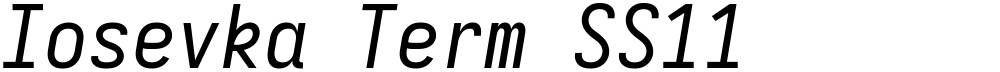 Iosevka Term SS11
