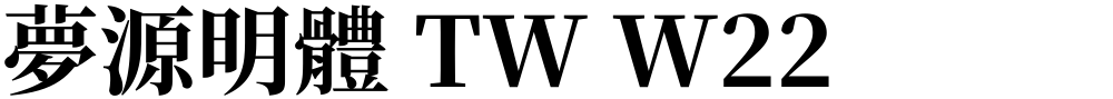 夢源明體 TW W22