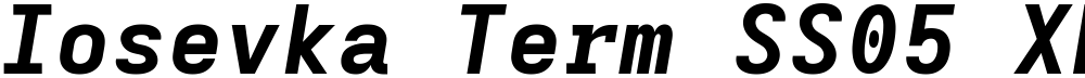 Iosevka Term SS05 XBdExObl