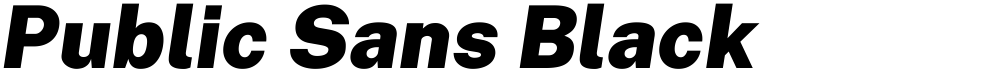Public Sans Black