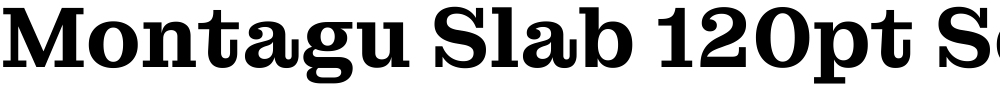 Montagu Slab 120pt SemiBold