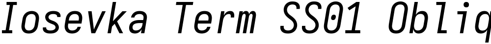 Iosevka Term SS01 Oblique