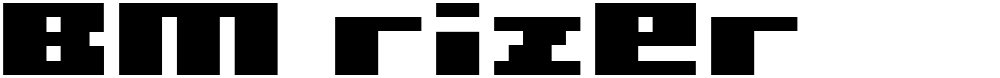 BM rizer