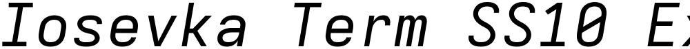 Iosevka Term SS10 ExObl