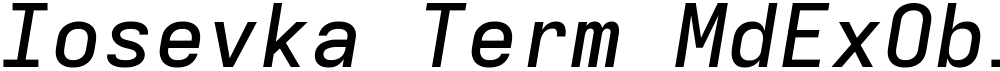 Iosevka Term MdExObl