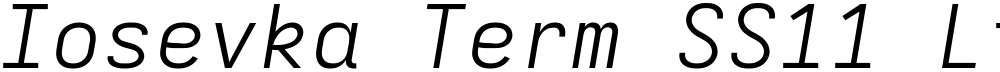 Iosevka Term SS11 LtEx
