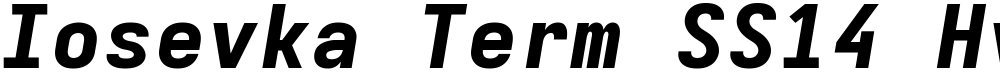 Iosevka Term SS14 HvExObl