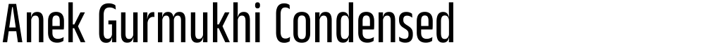 Anek Gurmukhi Condensed