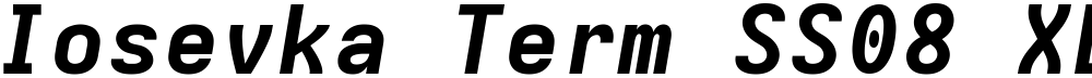Iosevka Term SS08 XBdExObl