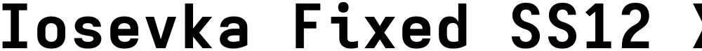 Iosevka Fixed SS12 XBdEx