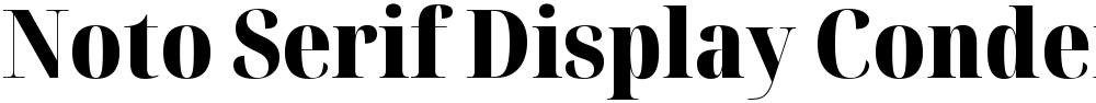 Noto Serif Display Condensed Black