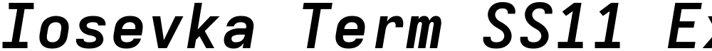 Iosevka Term SS11 ExObl