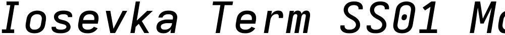 Iosevka Term SS01 MdEx