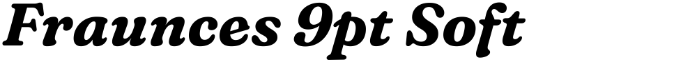 Fraunces 9pt Soft