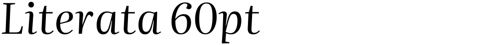 Literata 60pt