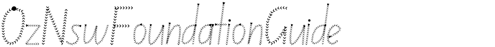 OzNswFoundationGuide