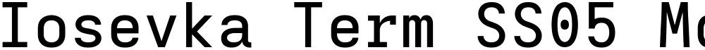 Iosevka Term SS05 MdEx