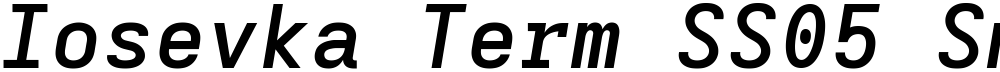 Iosevka Term SS05 SmBdExObl